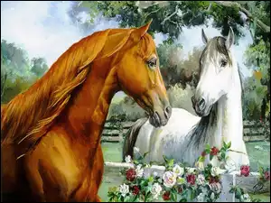 Konie, Kwiaty, Obrazy , Stadnina
