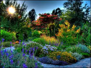 Słońce, Piękny, Ogród