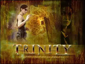 Matrix, Trinity