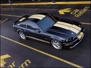Pasy, Ford Mustang Shelby, Namalowane