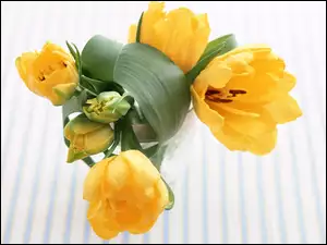 Tulipanów, Bukiet, Żółtych