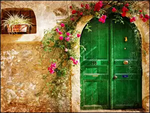 Dom, Kwiaty, Zielone, Drzwi