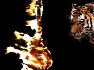 Tygrys, Płonąca, Gitara