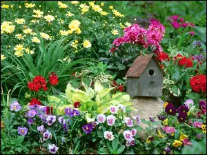 Budka, Ogród, Kolorowe, Różne, Kwiatki