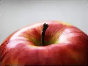 Jabłko, Ogonek