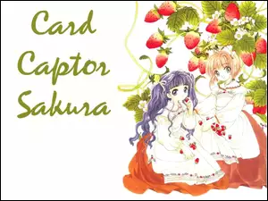 Cardcaptor Sakura, napisy, truskawka, dziewczyny
