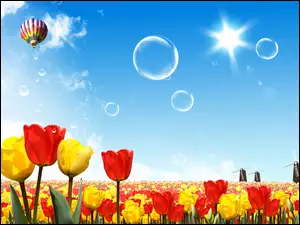 Wiosna, Tulipany, Balon