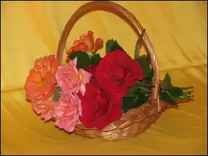 Koszyk, Bukiet, Róż