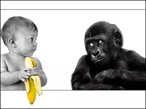 Banan, Dziecko, Małpa