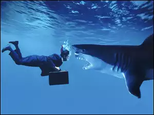 Rekin, Mężczyzna, Woda