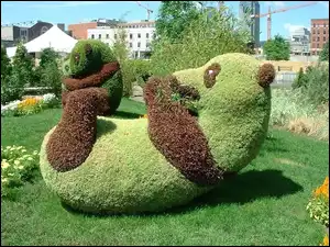 Panda, Rzeźba, Ogrodowa