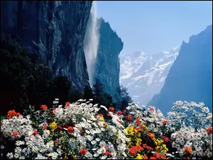 Wodospad, Kwiaty, Góry