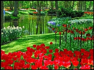 Holandia, Park, Kwiaty