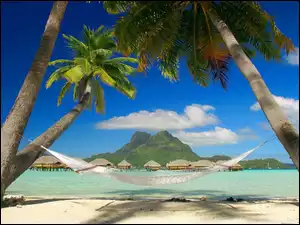 Bora Bora, Palmy, Hamak