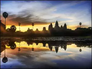 Świątynie, Kambodża
, Angkor, Dżungla