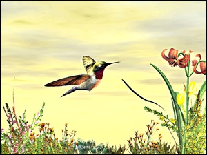 3D, Koliber, Kwiaty
