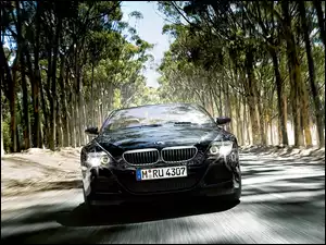 BMW Seria 6, Droga, Przód, Las