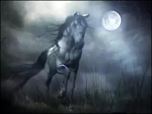Noc, Galop, Księżyc, Koń