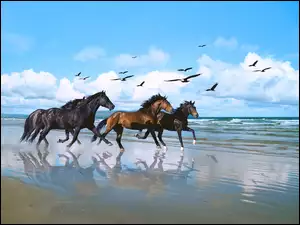 Konie, Plaża, Galop, Ptaki