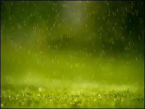 Deszczu, Duże, Krople