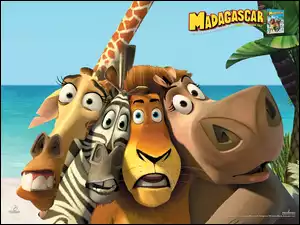 Hipopotan, Madagaskar, Zebra, Żyrafa, Lew