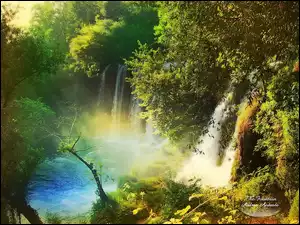 Las, Wodospady, Rzeka