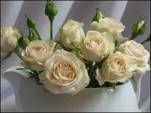 Biały, Róże, Dzbanek, Białe