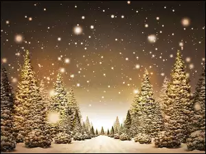 Choinki, Śnieg, Boże, Narodzenie