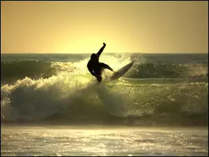 Surfer, Morze, Fale