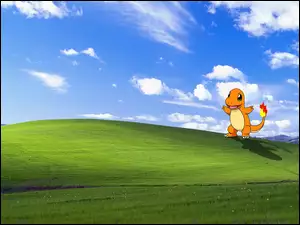 Pokemon, Windows, XP