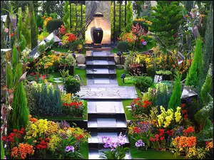 Ogród, Iglaki, Kwiaty, Schody