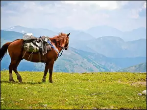 Koń, Góry
