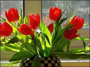 Tulipanów, Okno, Bukiet