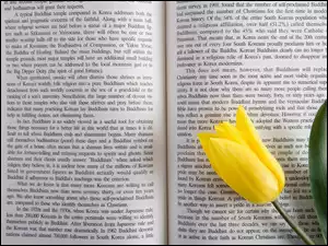 Tulipan, Rozłożona, Tekst, Książka, Żółty