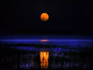 Księżyc, Noc, Jezioro