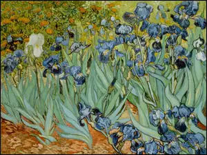 Obraz, Irysy, Vincent van Gogh