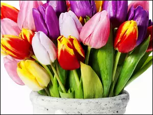 Tulipany, Wazon, Różnokolorowe