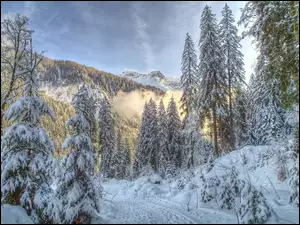 Góry, Śnieg, Drzewa, Droga
