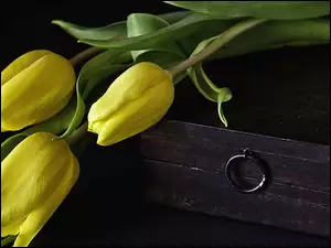 Żółte, Kuferek, Tulipany, Drewniany