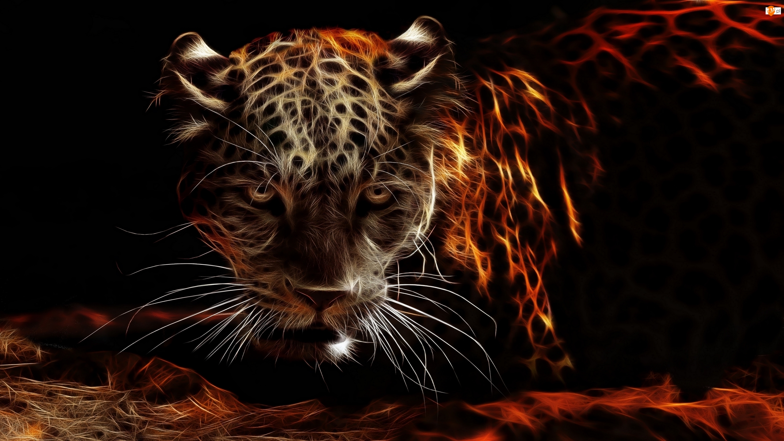 Леопард в огне