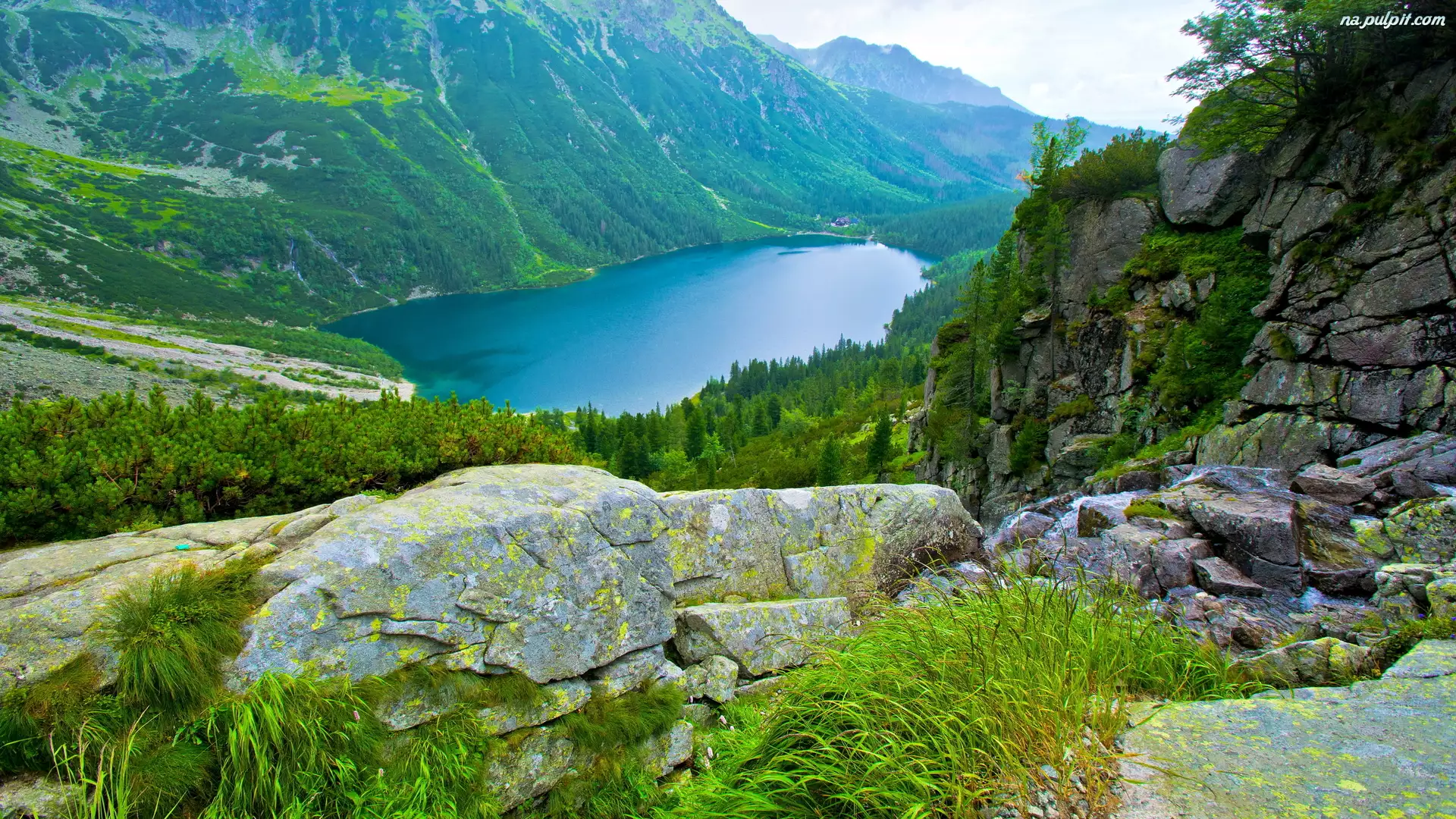 Morskie Oko W Dolinie Rybiego Potoku W Tatrach