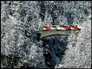Pociąg, Ośnieżone, Zima, Drzewa, Most