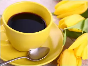 Żółta, Tulipany, Filiżanka, Kawa
