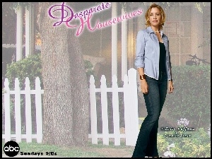 drzewo, Desperate Housewives, Felicity Huffman