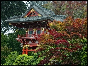 Drzewa, Dom, Zdobienia, Złote, Japonia