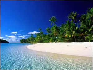 Palmy, Wyspy Cooka, Plaża