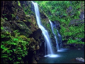Hawaje, Wodospad, Maui