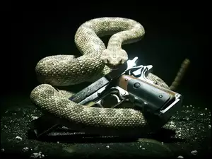 Hitman Absolution, Wąż