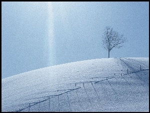 Drzewo, Promienie, Śnieg, Słońce, Zaspy, Płot