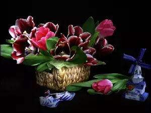 Porcelana, Kosz, Tulipany